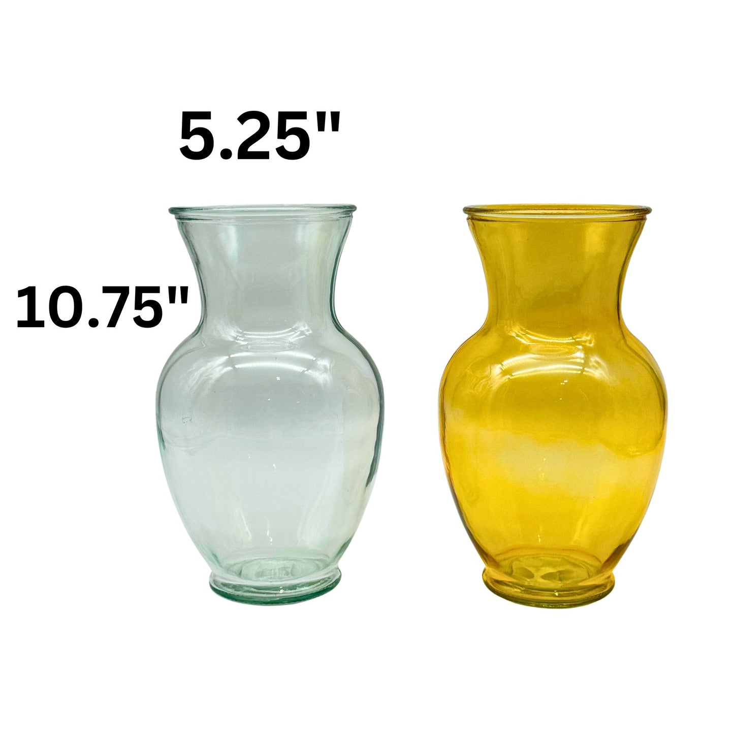 XL Belly Vase (12pcs)