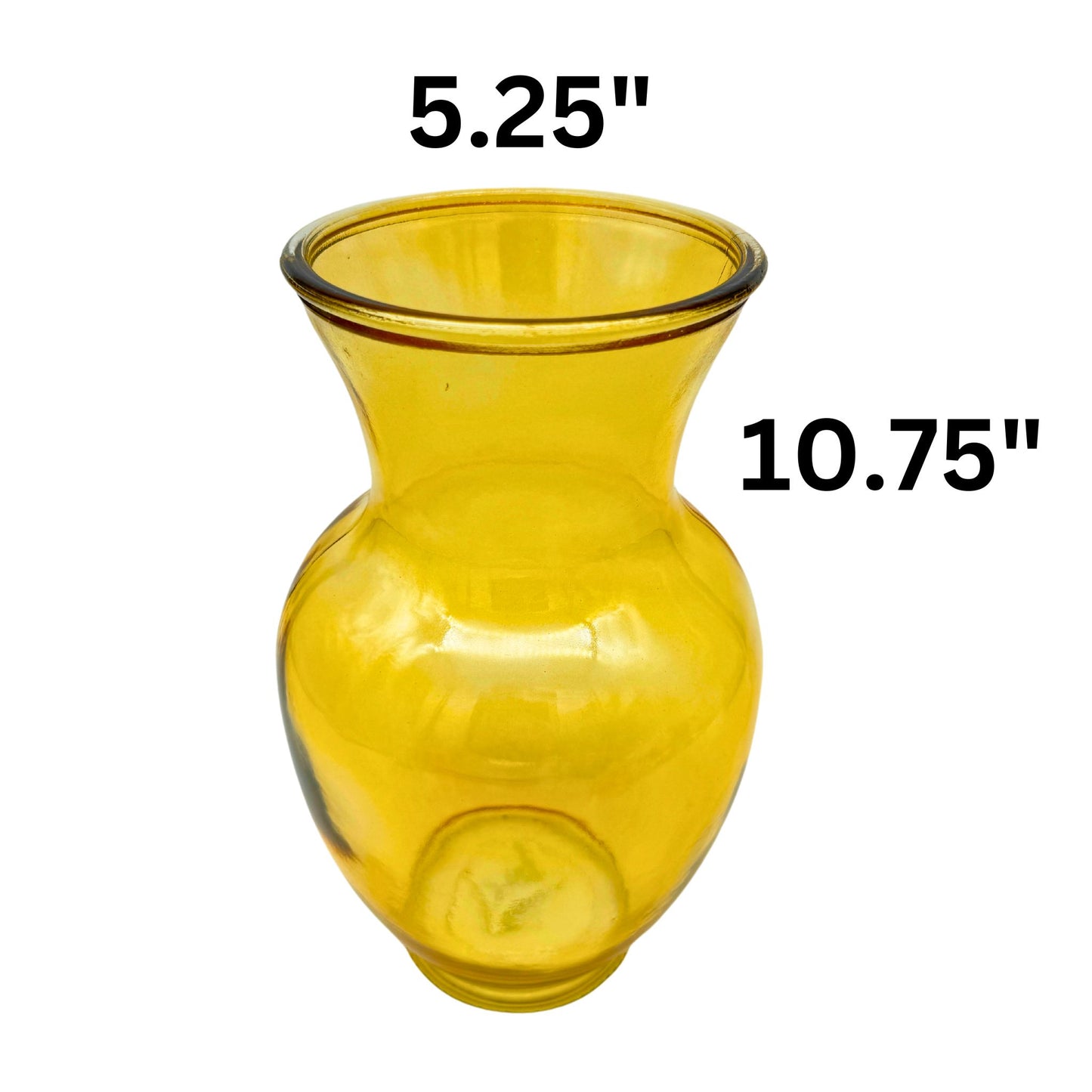 XL Belly Vase (12pcs)